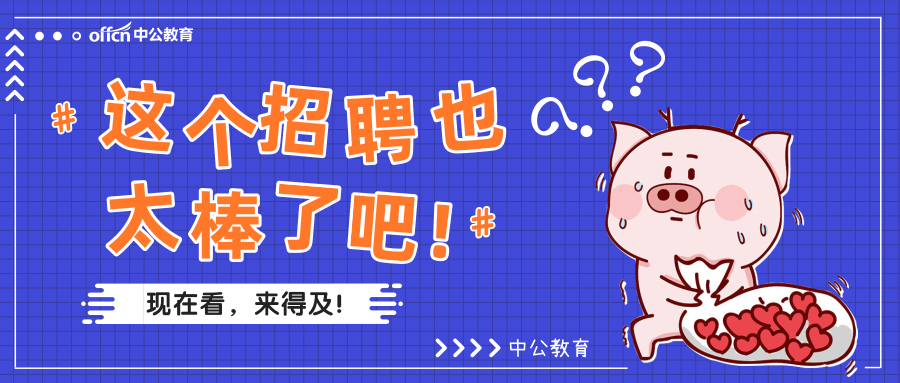 宿豫最新招聘，高效方案实施设计专家DP25.41.8 招聘启事