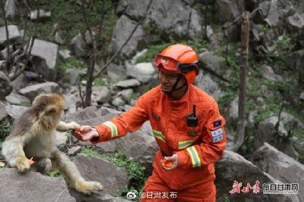 机器狗泰山负重挑战，可靠性执行方案揭秘_偶遇记录