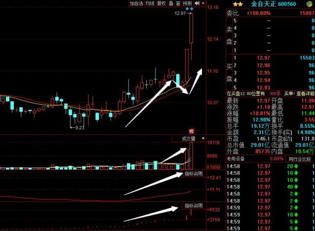 金自天正的最新消息,公司概况