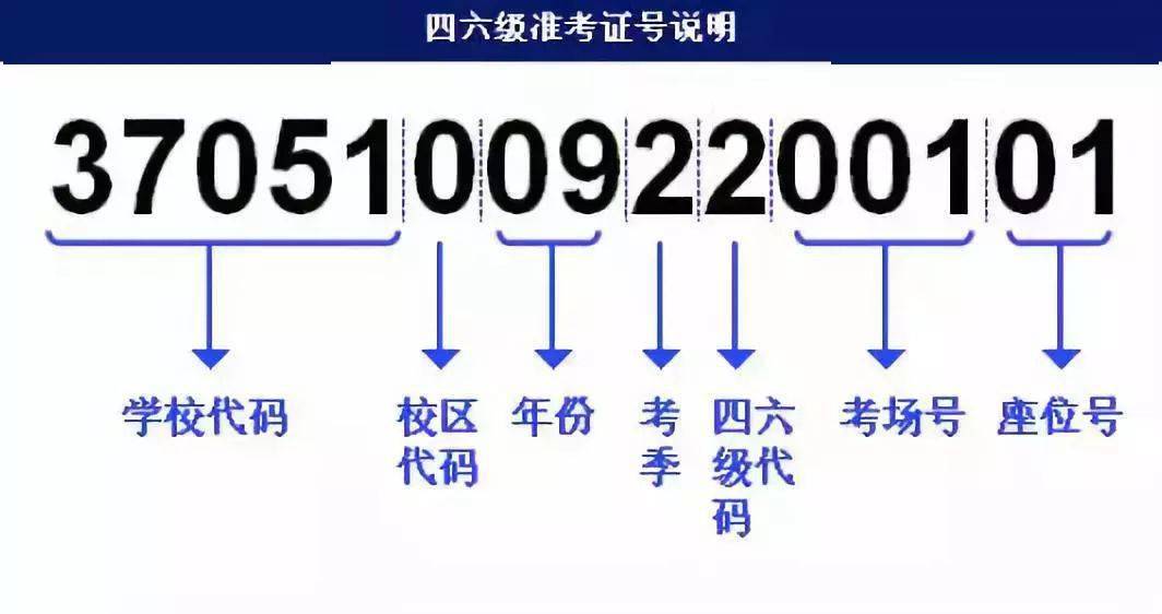 7777788888管家婆免费,立刻解决方案分析_配合型9.349