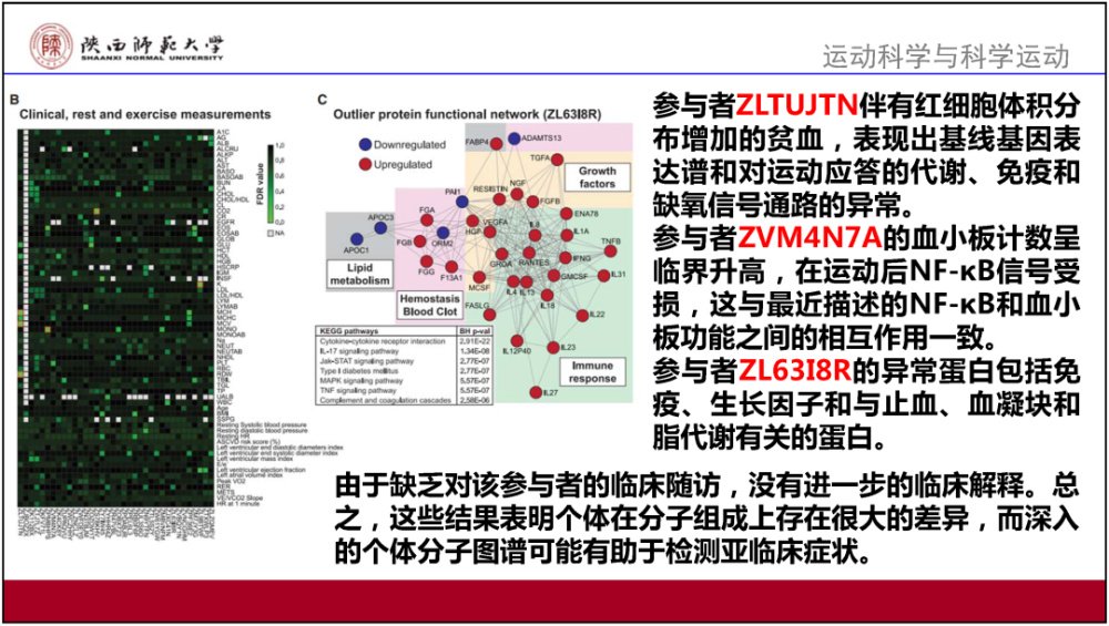 澳门精准免费资料大全，实时更新解释介绍_传承版8.67.285