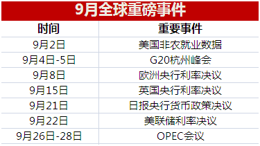 2024新奥今晚开什么资料，数据驱动方案_用心版8.97.916