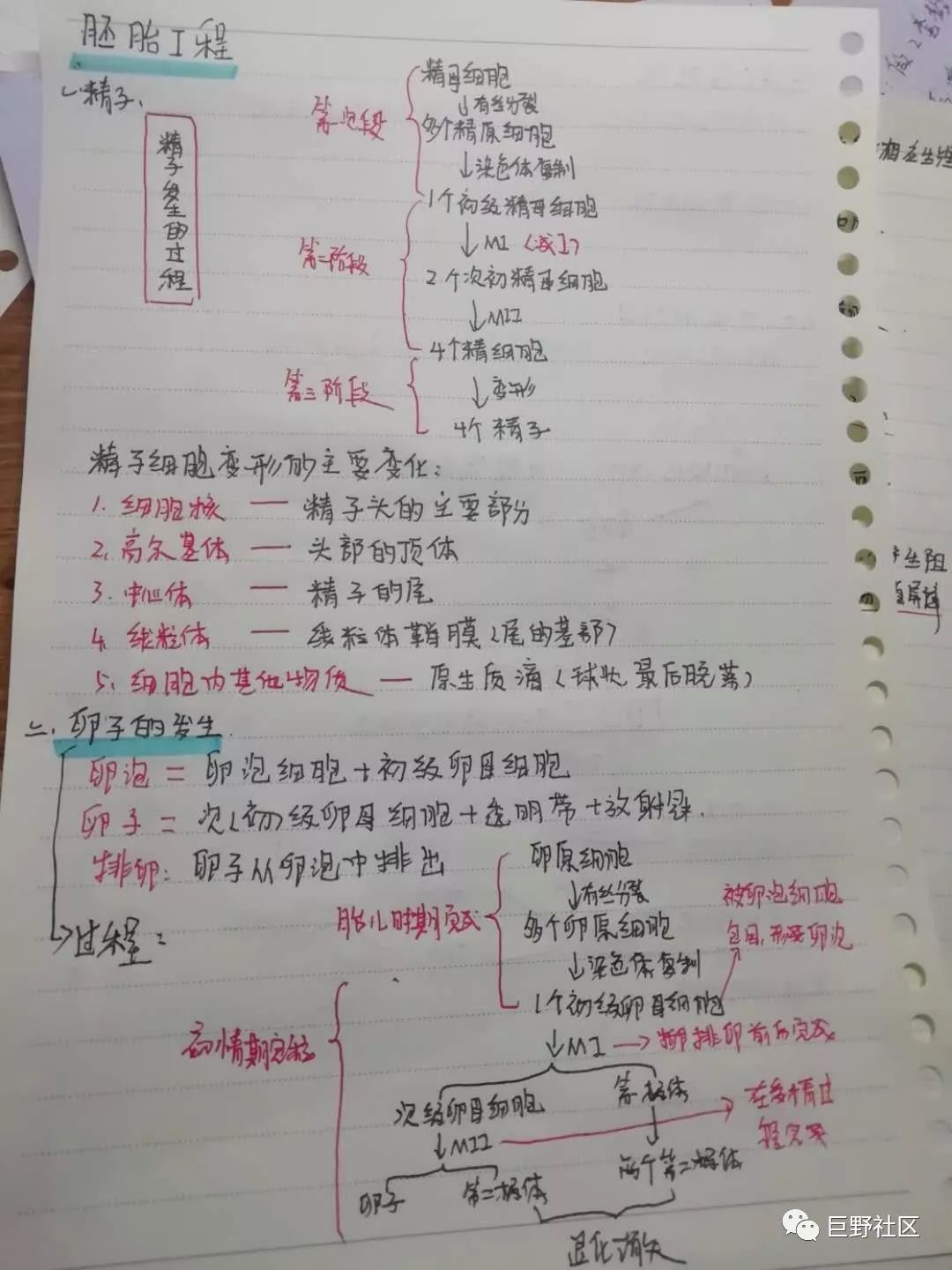 7777788888精准玄机,确保成语解析_注释制45.931