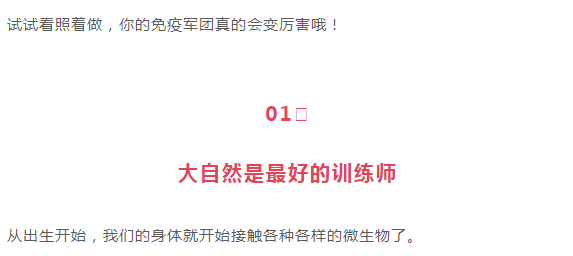 新澳门精准四肖期准解析，CBW82.380定向版信息透析