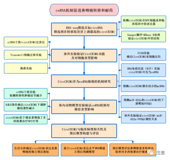 新澳最新内部资料,执行机制评估_WWP85.481为你版