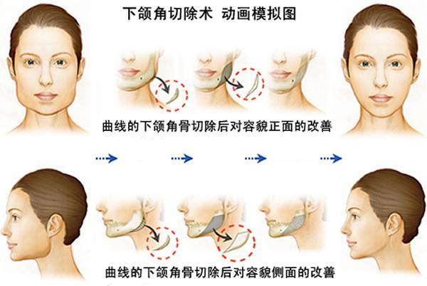 一肖一马,案例实证分析_FLW80.170锐意版