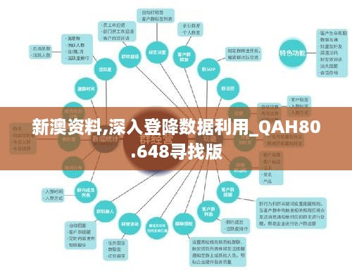 新澳资料,深入登降数据利用_QAH80.648寻找版