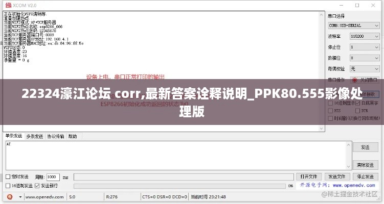 22324濠江论坛 corr,最新答案诠释说明_PPK80.555影像处理版