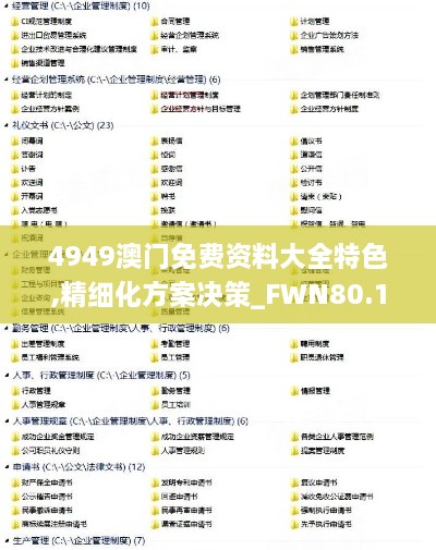 4949澳门免费资料大全特色,精细化方案决策_FWN80.132外观版