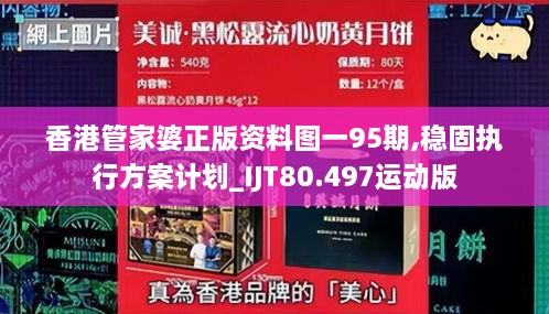 香港管家婆正版资料图一95期,稳固执行方案计划_IJT80.497运动版