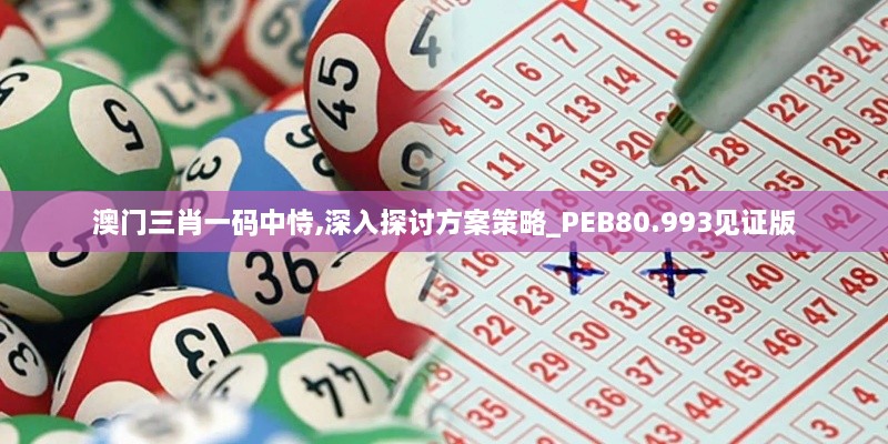 澳门三肖一码中恃,深入探讨方案策略_PEB80.993见证版