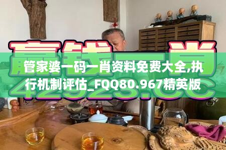 管家婆一码一肖资料免费大全,执行机制评估_FQQ80.967精英版