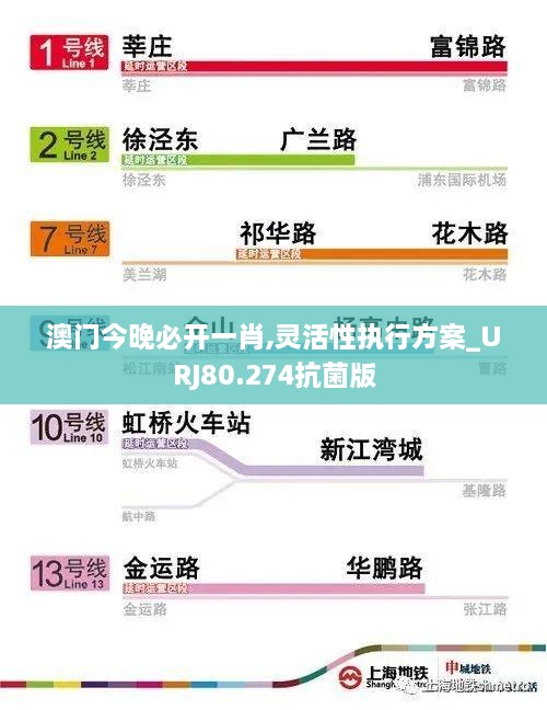 澳门今晚必开一肖,灵活性执行方案_URJ80.274抗菌版