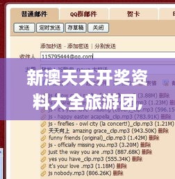 新澳天天开奖资料大全旅游团,完善实施计划_FVV80.393升级版