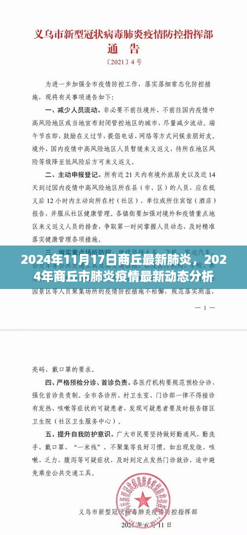 2024年商丘市肺炎疫情最新动态分析与报告