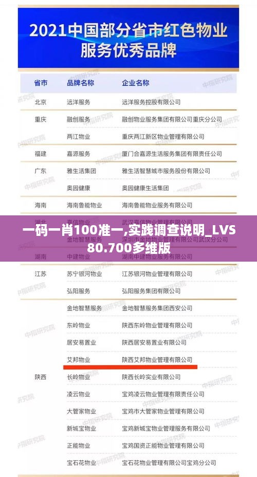 一码一肖100准一,实践调查说明_LVS80.700多维版