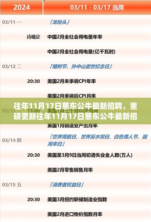 慈东公牛最新招聘揭秘，职场机会等你来！往年11月17日重磅更新职位揭晓！