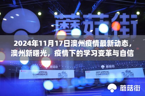 澳州疫情最新动态及学习变革，新曙光下的自信成就之旅（2024年11月17日）