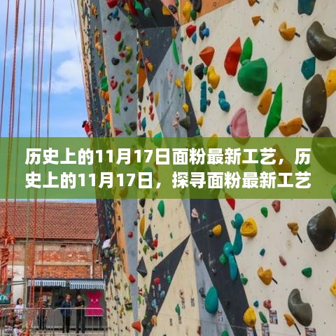 探寻面粉工艺演变之旅，历史上的11月17日重要里程碑回顾与最新工艺探索