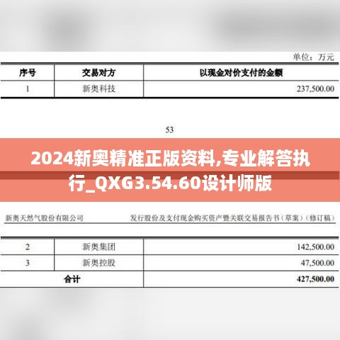 2024新奥精准正版资料,专业解答执行_QXG3.54.60设计师版