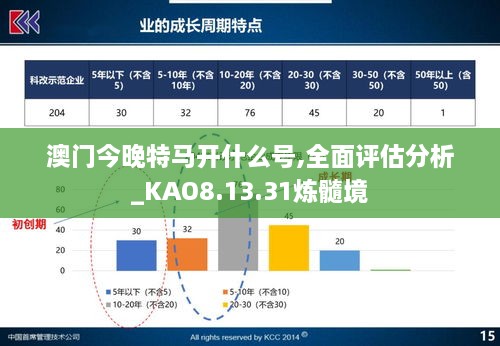 澳门今晚特马开什么号,全面评估分析_KAO8.13.31炼髓境