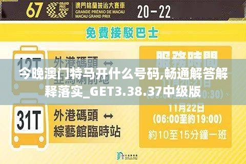 今晚澳门特马开什么号码,畅通解答解释落实_GET3.38.37中级版