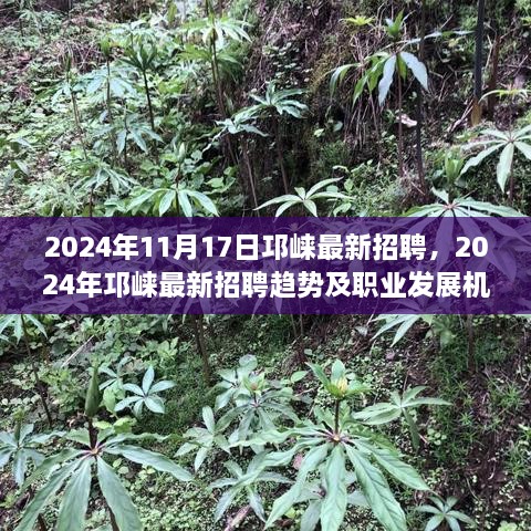 2024年邛崃最新招聘趋势及职业发展机遇前瞻