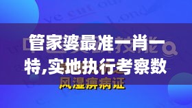 管家婆最准一肖一特,实地执行考察数据_OJS8.77.87精致生活版