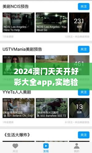 2024澳门天天开好彩大全app,实地验证数据实施_RSM4.31.70更换版