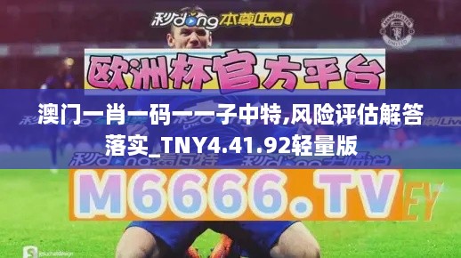 澳门一肖一码一一子中特,风险评估解答落实_TNY4.41.92轻量版