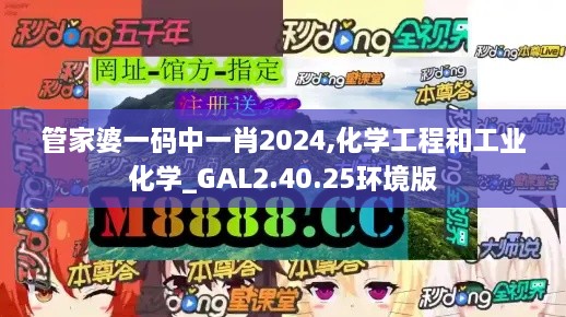 管家婆一码中一肖2024,化学工程和工业化学_GAL2.40.25环境版