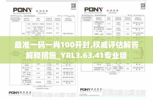 最准一码一肖100开封,权威评估解答解释措施_YRL3.63.41专业版