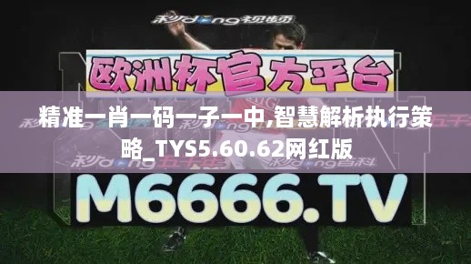 精准一肖一码一子一中,智慧解析执行策略_TYS5.60.62网红版