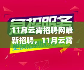 最新招聘信息揭秘，云霄招聘网11月职场黄金机会时刻