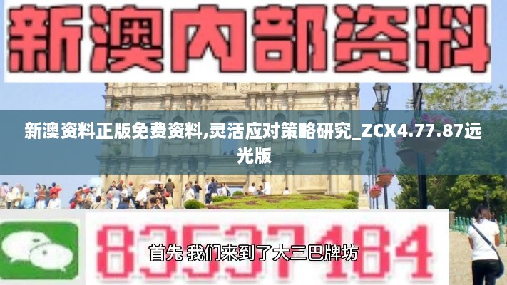 新澳资料正版免费资料,灵活应对策略研究_ZCX4.77.87远光版