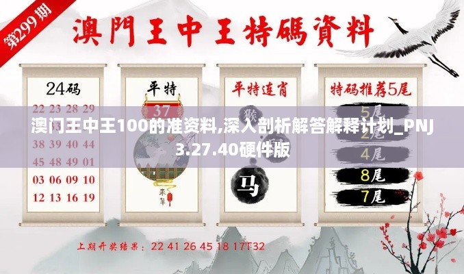 澳门王中王100的准资料,深入剖析解答解释计划_PNJ3.27.40硬件版