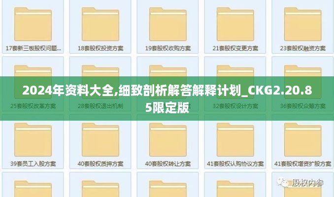 2024年资料大全,细致剖析解答解释计划_CKG2.20.85限定版