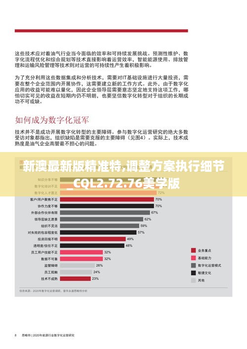 新澳最新版精准特,调整方案执行细节_CQL2.72.76美学版