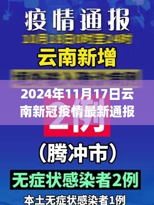 独家解读！云南新冠疫情最新通报（2024年11月17日）