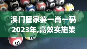 澳门管家婆一肖一码2023年,高效实施策略设计_TDN1.70.23明亮版