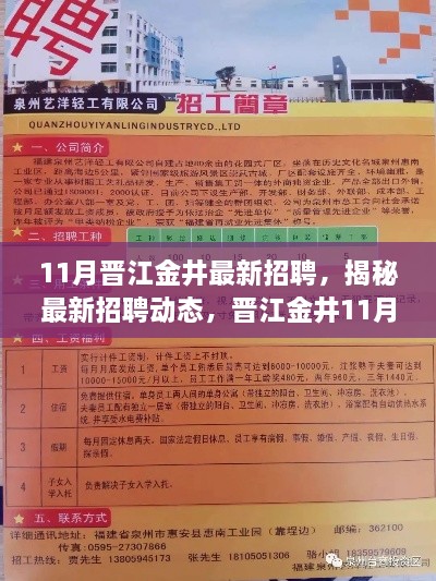 晋江金井11月人才招聘盛况，最新岗位动态大揭秘