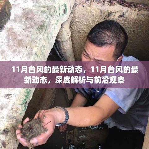 深度解析与前沿观察，11月台风的最新动态