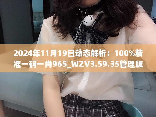 2024年11月19日动态解析：100%精准一码一肖965_WZV3.59.35管理版