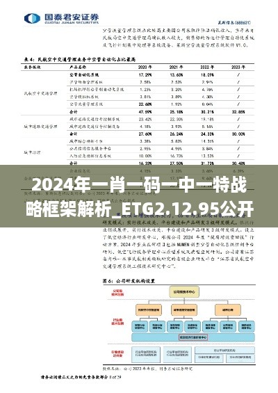 2024年一肖一码一中一特战略框架解析_ETG2.12.95公开版