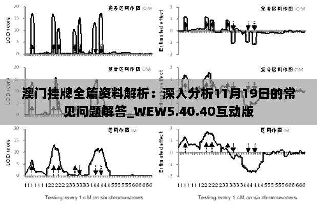 澳门挂牌全篇资料解析：深入分析11月19日的常见问题解答_WEW5.40.40互动版