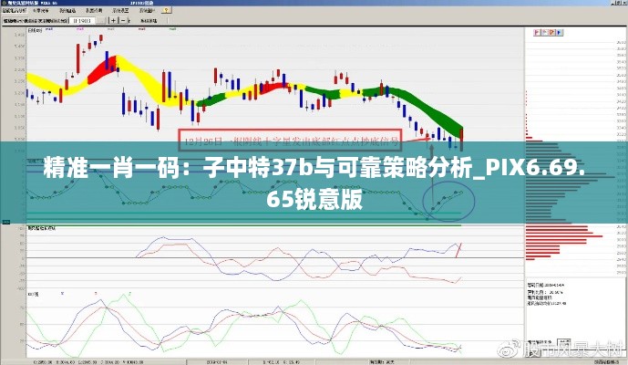 精准一肖一码：子中特37b与可靠策略分析_PIX6.69.65锐意版