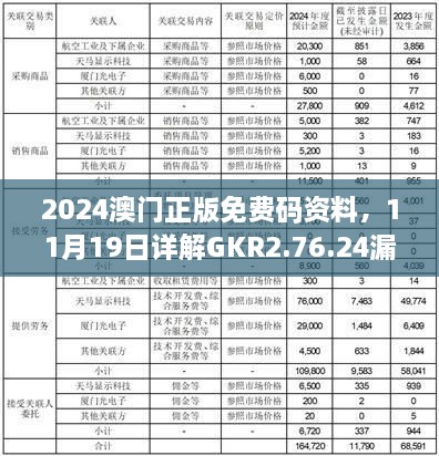 2024澳门正版免费码资料，11月19日详解GKR2.76.24漏出版执行问题