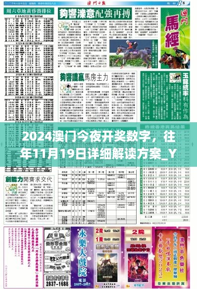 2024澳门今夜开奖数字，往年11月19日详细解读方案_YAH5.25.67官方版