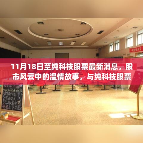 股市风云中的温情故事，纯科技股票最新动态与欢乐共度时光（11月18日）