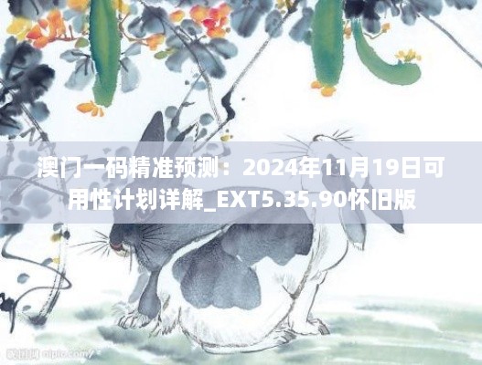 澳门一码精准预测：2024年11月19日可用性计划详解_EXT5.35.90怀旧版